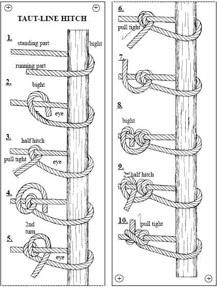 How to Tie the Taut-Line Hitch Knot - The Best Camping Knot