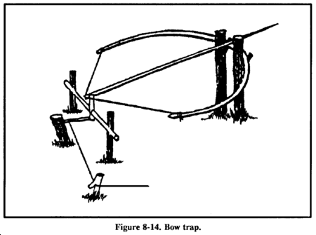 Trapping Snares - How Do You Use One?