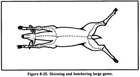 Skinning and butchering large game