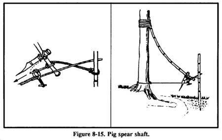 pig spear